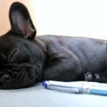 Time to Put the Dog to Bed: What will Ralph Do