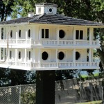 What to Look for in a New Neighborhood
