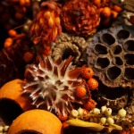 Potpourri: Trail Mix for the Nose