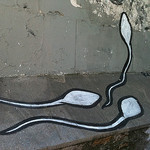 Give Some Sperm, Take Some Sperm