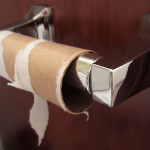 How Do You Roll With Toilet Paper
