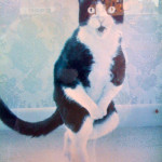 Are You Too Ashamed or Embarrassed To Share Your Bubblews Links