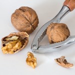 Wikinut Castrates its Nuts: No More Earnings